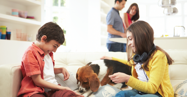 Compra de vivienda 101: Relación deuda-ingresos (DTI)