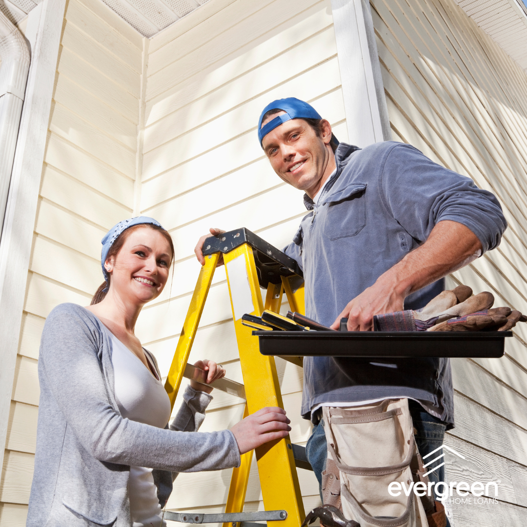 Revisión de verano Evergreen